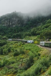 fifty percent off amtrak tickets