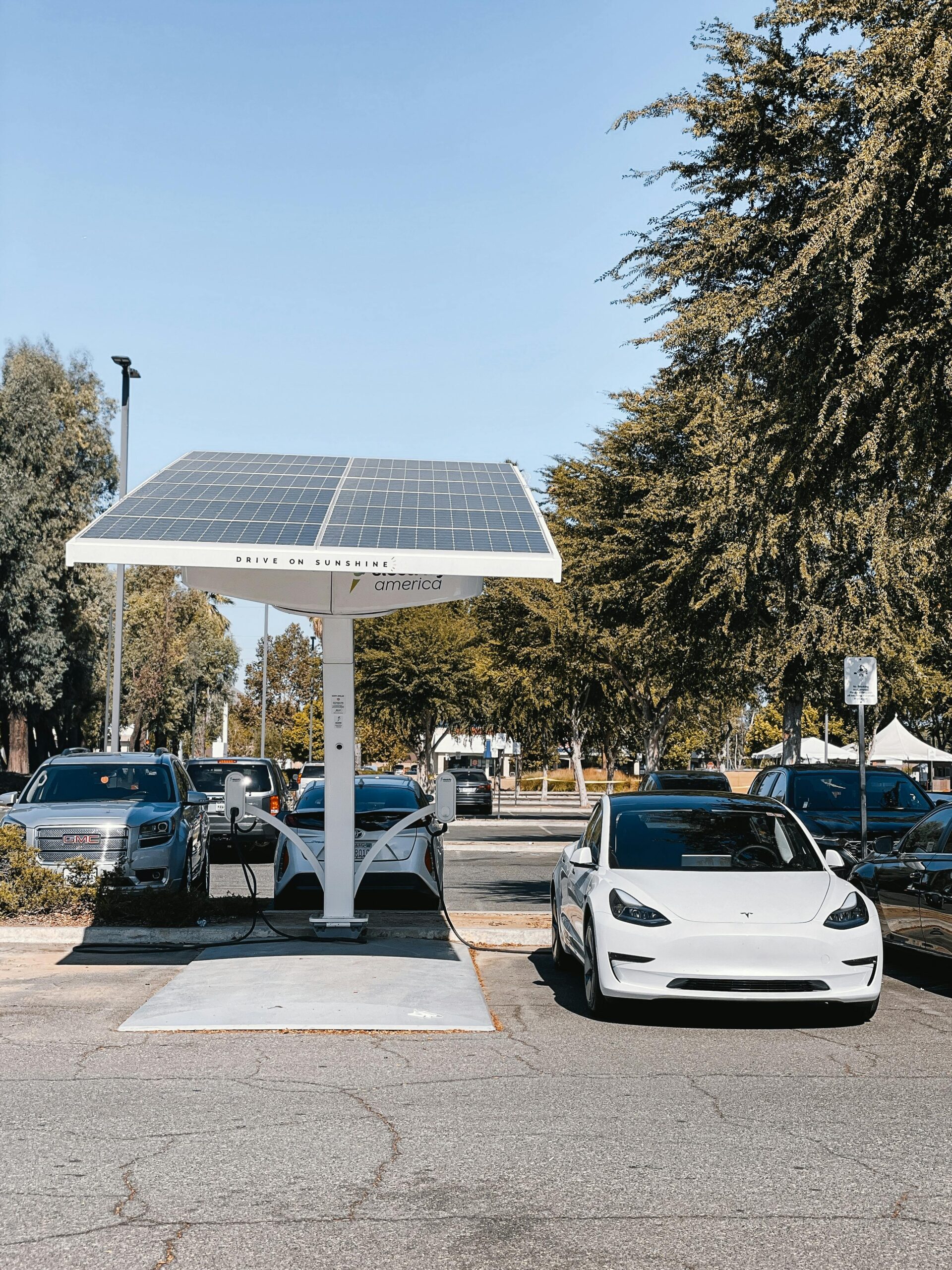 Electric Car Owners Save
