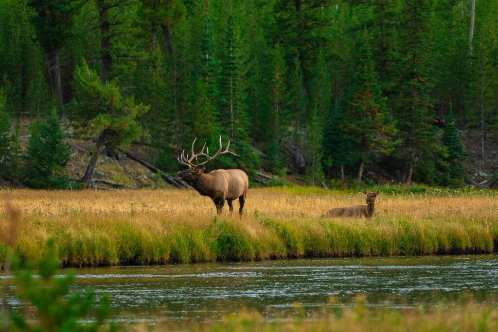 National Park Pass Tips