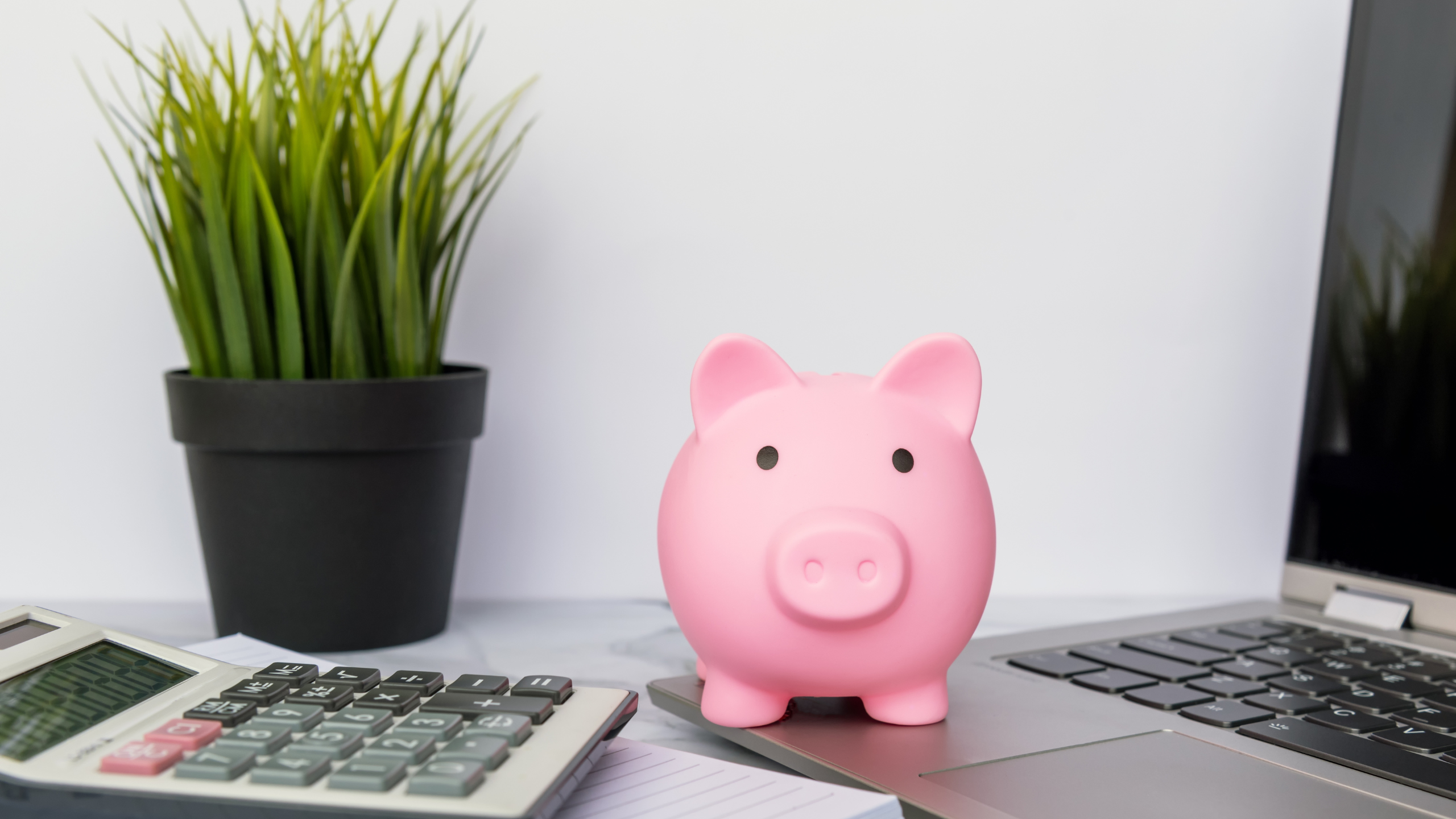 frugal living habits